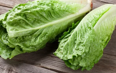 Is Ethical veganism a ‘philosophical belief’ under employment law?